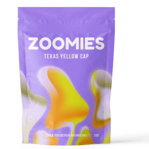 Texas Yellow Cap | Shroomyz Canada