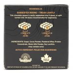 Room 920 – Mushroom Chocolate Bar - Milk Chocolate - 3 Grams | Shroomyz Canada