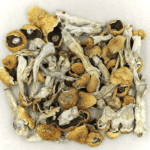 Orissa | Shroomyz Canada