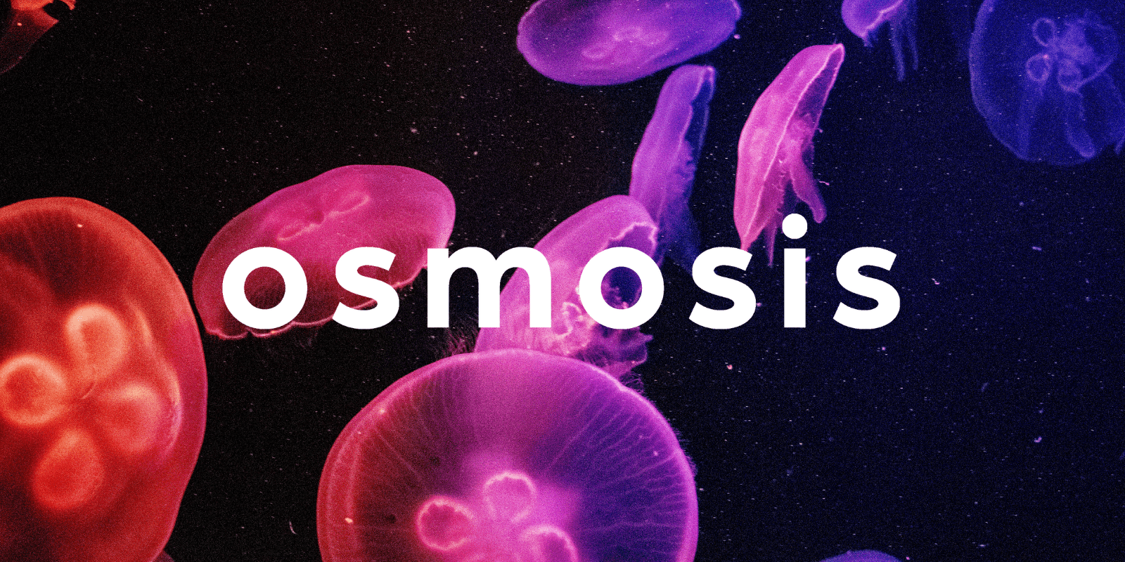 Zoomies osmosis banner | Shroomyz Canada