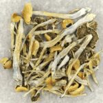 Trinity | Shroomyz Canada