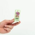Wonder – Psilocybin Chocolate Bar – Dark Chocolate | Shroomyz Canada