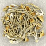 Hautla | Shroomyz Canada