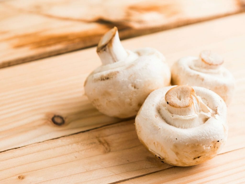 Buy Shrooms Online at Shroomyz Canada