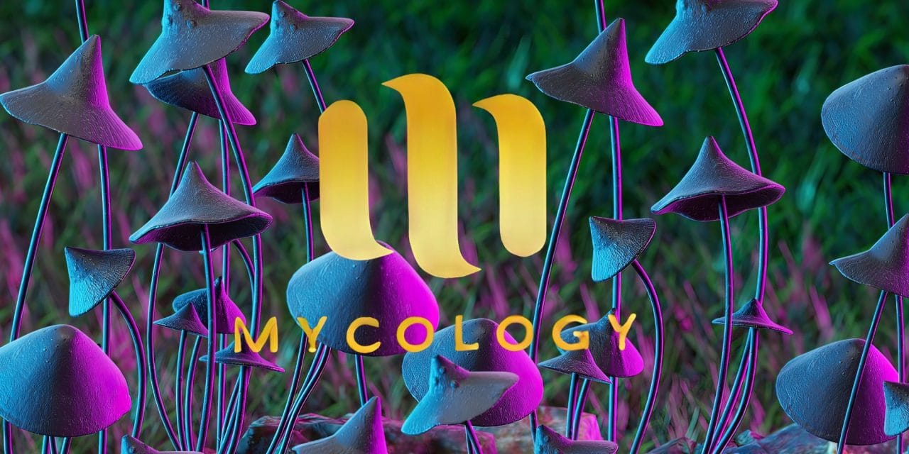 Zoomies Summer 2023 Banner - Mycology | Shroomyz Canada