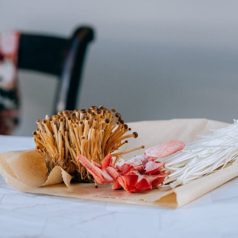 Buy Shrooms Online Canada (1) | Shroomyz Canada