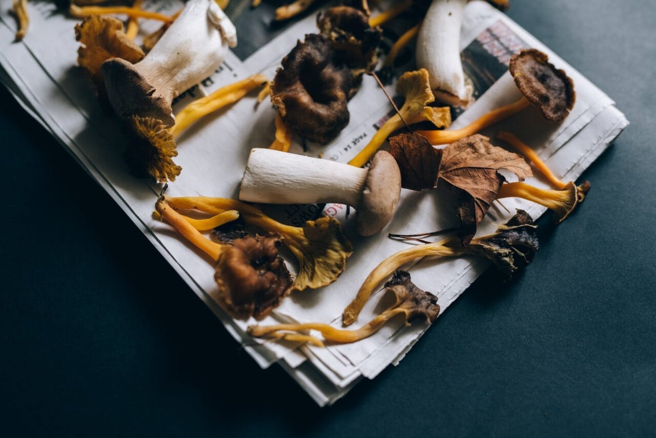 Can Mushrooms and Chocolate Be Paired?