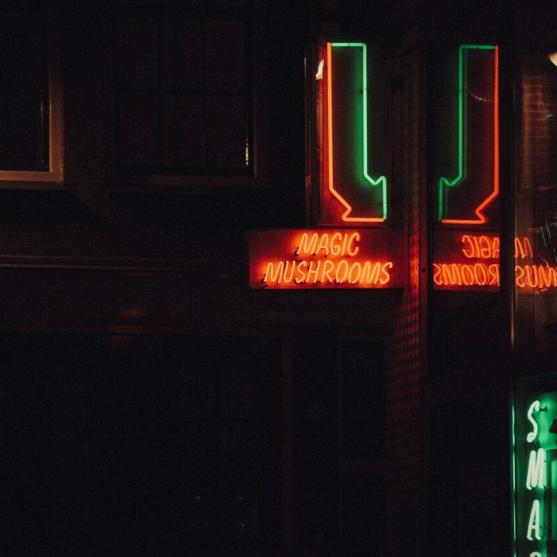 Mushroom Dispensary Vancouver | Shroomyz Canada